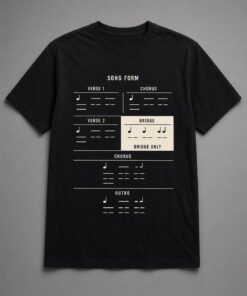 Bridge Only Song Structure Unisex T-Shirt in black with song form chart with the bridge highlighted